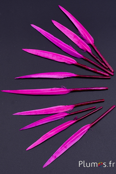 Oie Lame - 5-8 cm - fuchsia